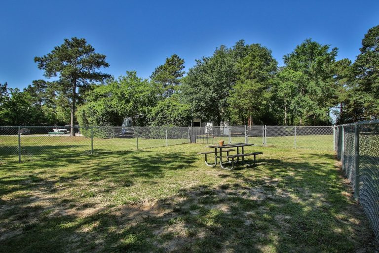 South-Cherry-37-1402-027-768x512