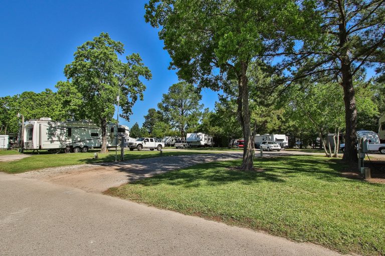 South-Cherry-37-1402-035-768x512